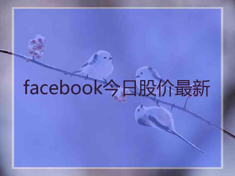 facebook今日股价最新