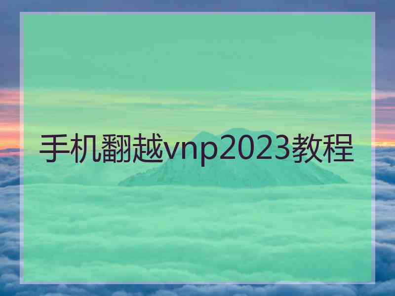 手机翻越vnp2023教程