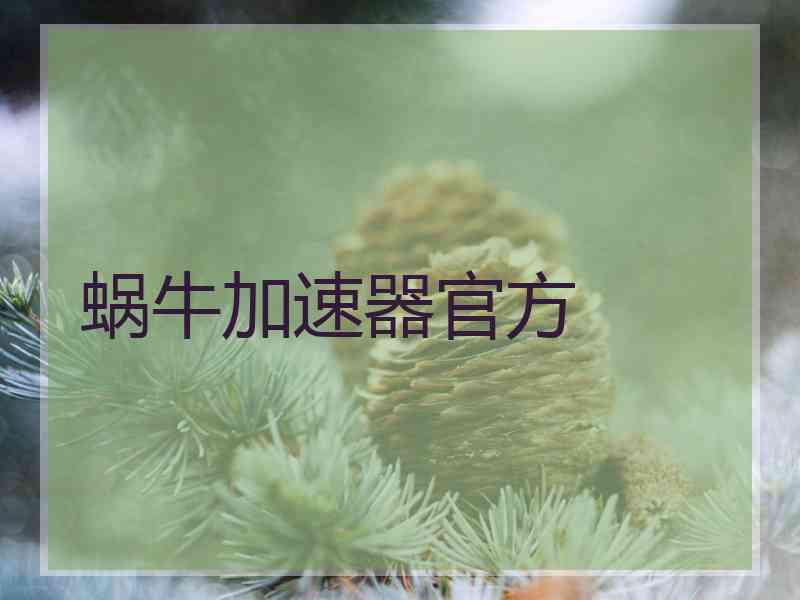 蜗牛加速器官方