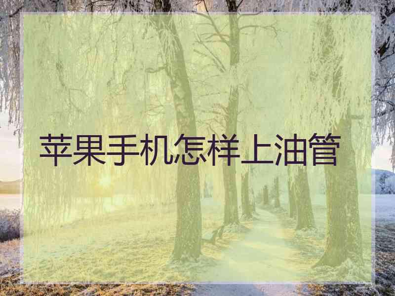 苹果手机怎样上油管