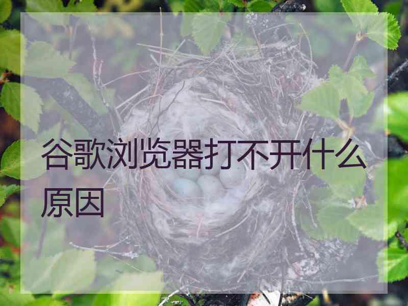 谷歌浏览器打不开什么原因