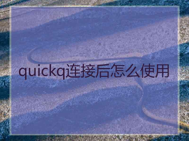 quickq连接后怎么使用