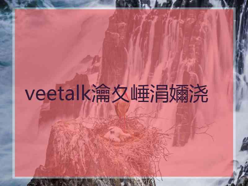 veetalk瀹夊崜涓嬭浇