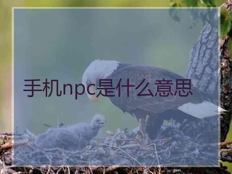 手机npc是什么意思