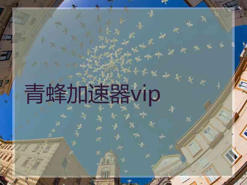 青蜂加速器vip