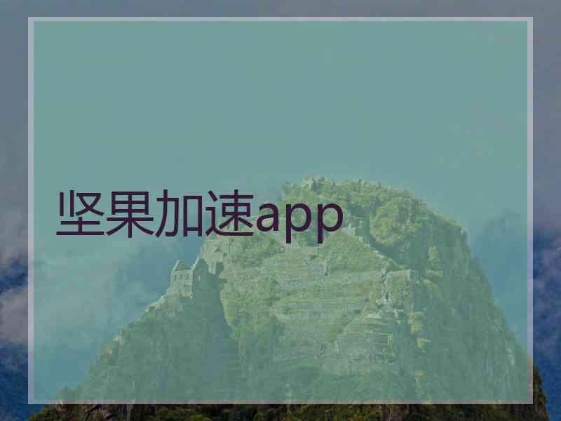 坚果加速app