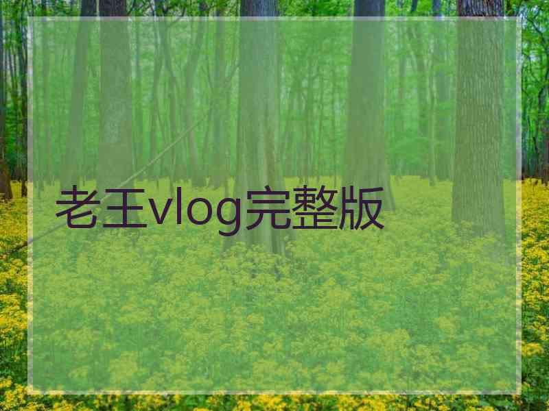 老王vlog完整版