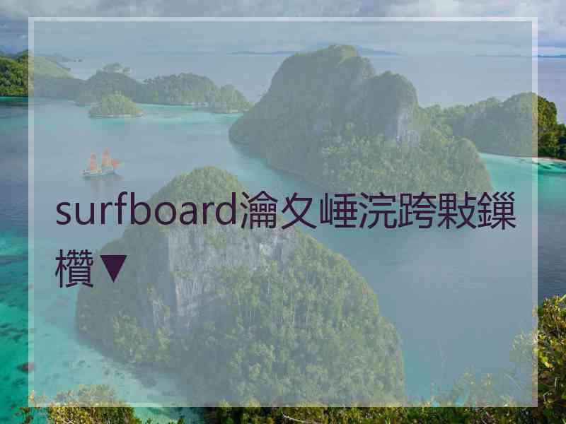 surfboard瀹夊崜浣跨敤鏁欑▼