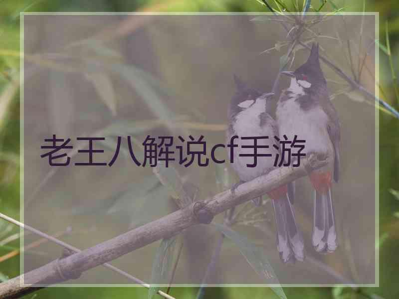 老王八解说cf手游