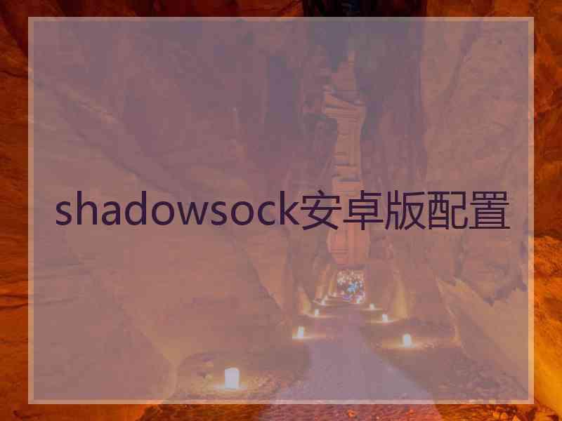 shadowsock安卓版配置