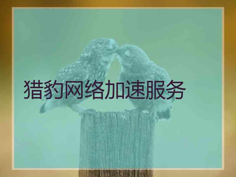 猎豹网络加速服务