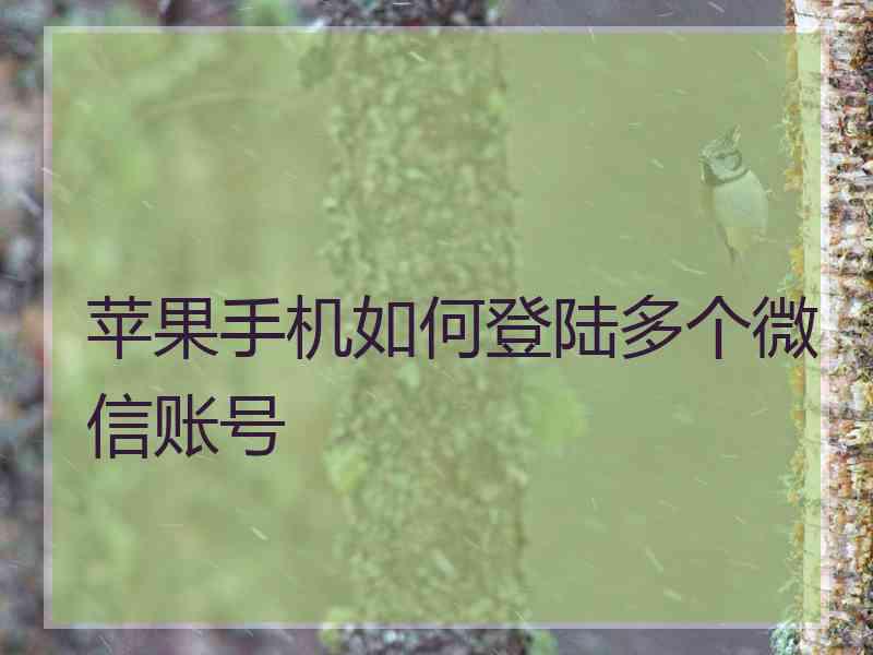 苹果手机如何登陆多个微信账号