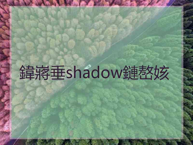 鍏嶈垂shadow鏈嶅姟