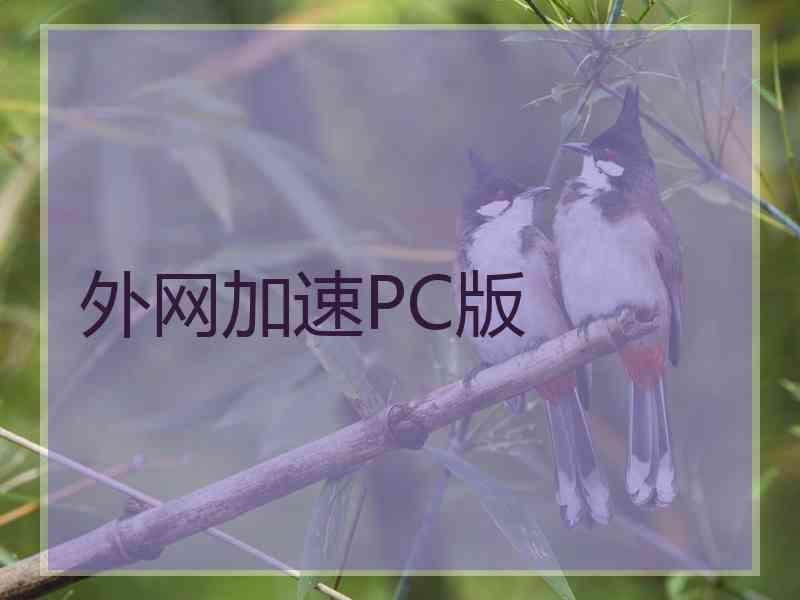 外网加速PC版