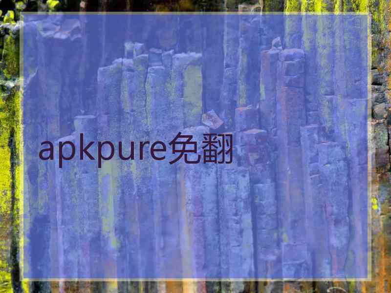 apkpure免翻