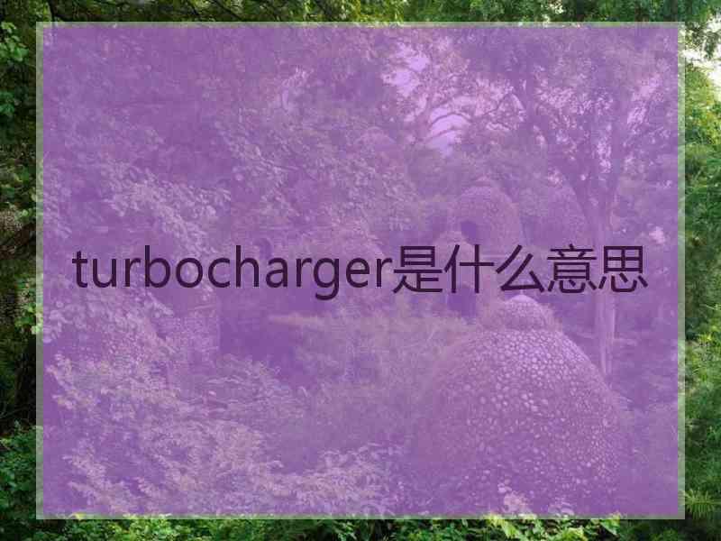 turbocharger是什么意思