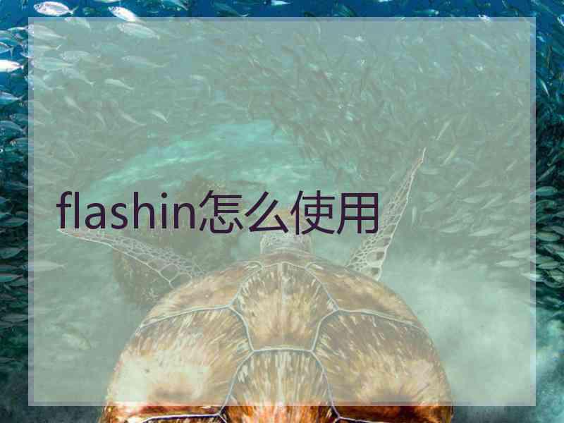 flashin怎么使用