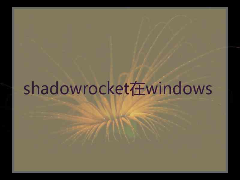 shadowrocket在windows