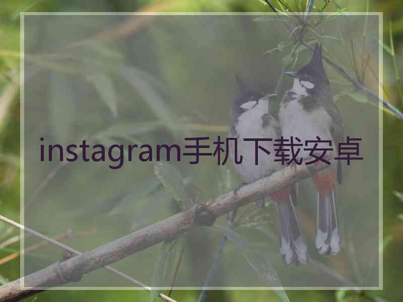 instagram手机下载安卓