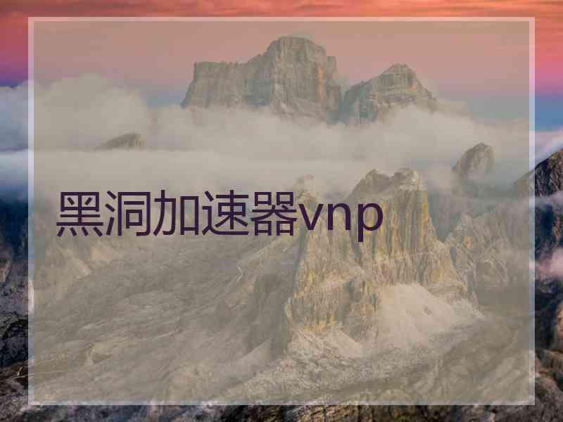 黑洞加速器vnp