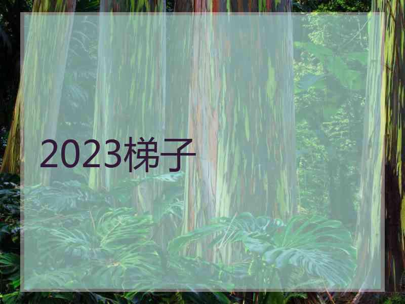 2023梯子