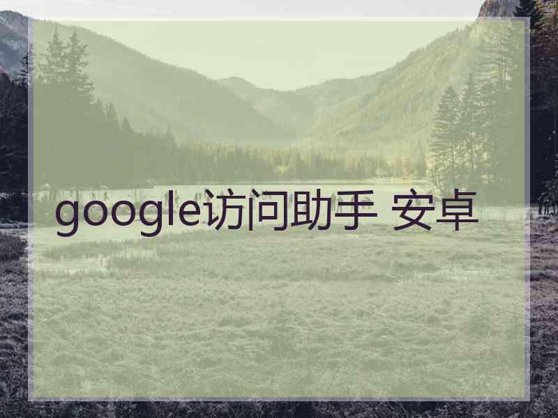 google访问助手 安卓