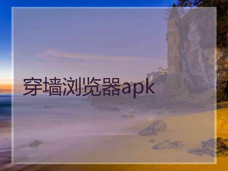 穿墙浏览器apk