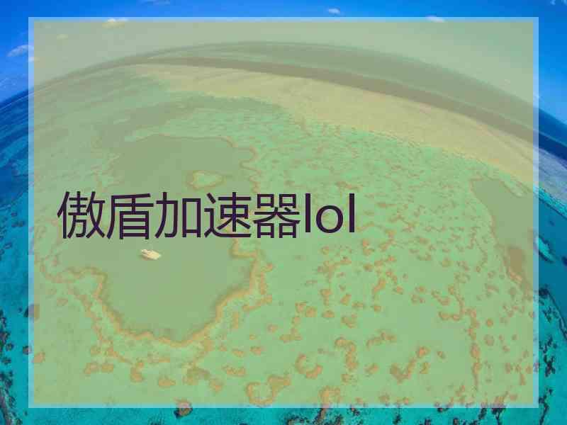 傲盾加速器lol