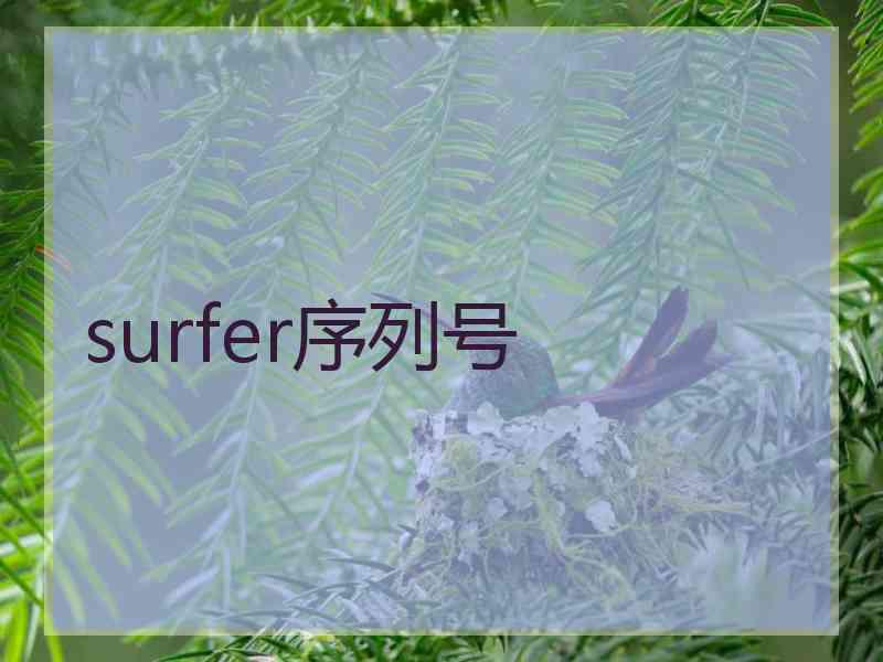 surfer序列号