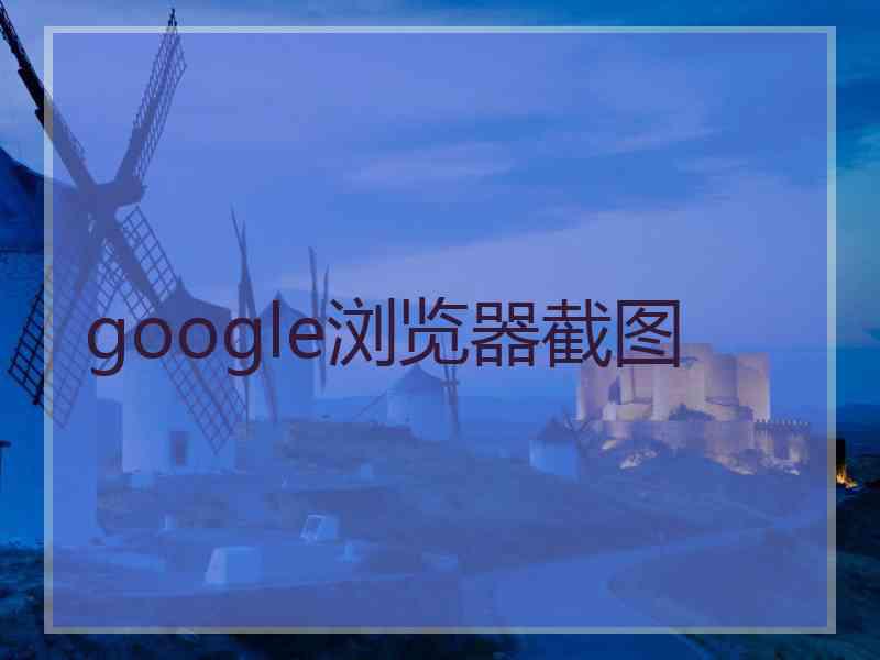 google浏览器截图