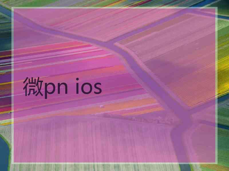 微pn ios