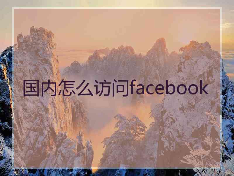 国内怎么访问facebook