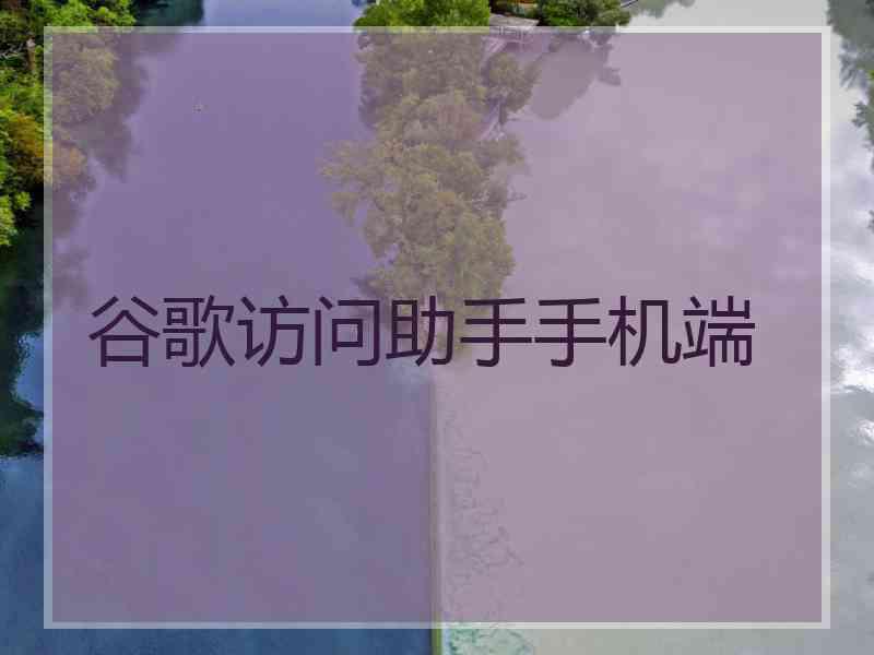 谷歌访问助手手机端