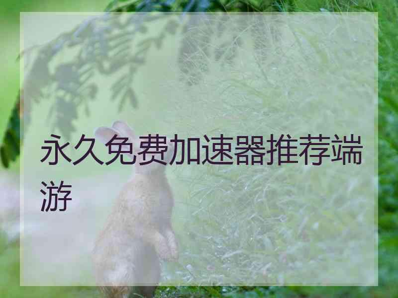 永久免费加速器推荐端游