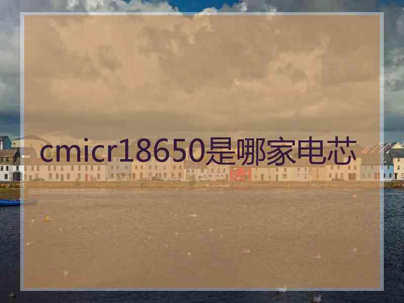 cmicr18650是哪家电芯