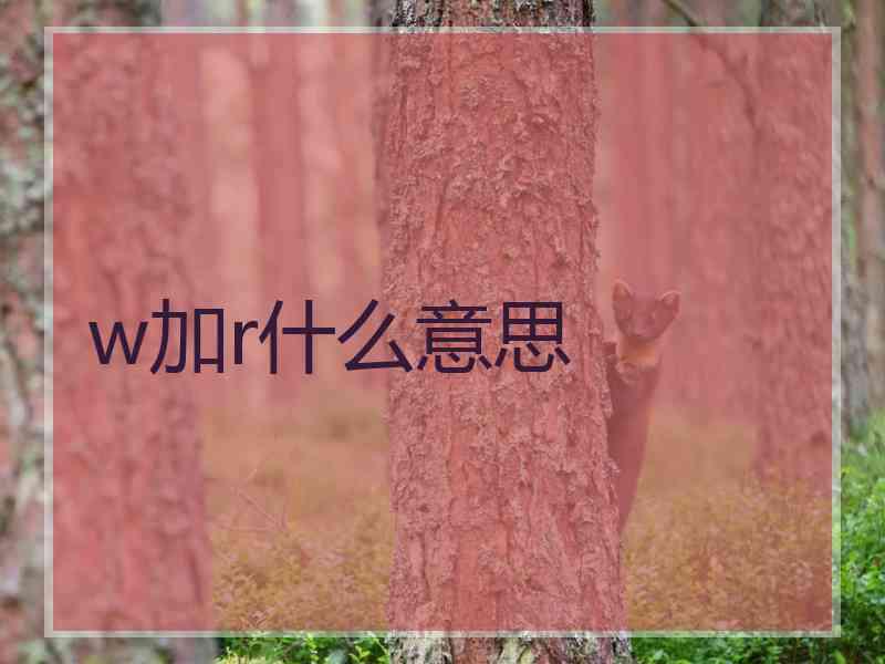 w加r什么意思