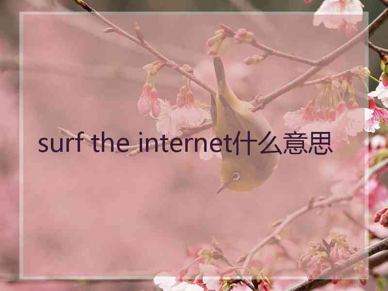 surf the internet什么意思