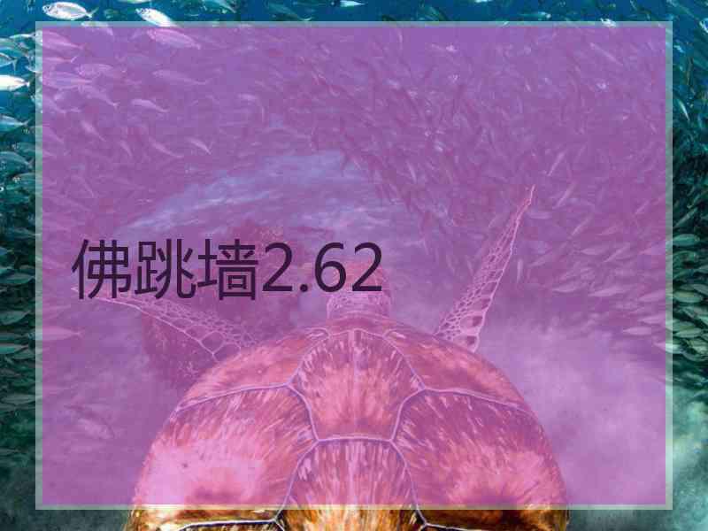 佛跳墙2.62