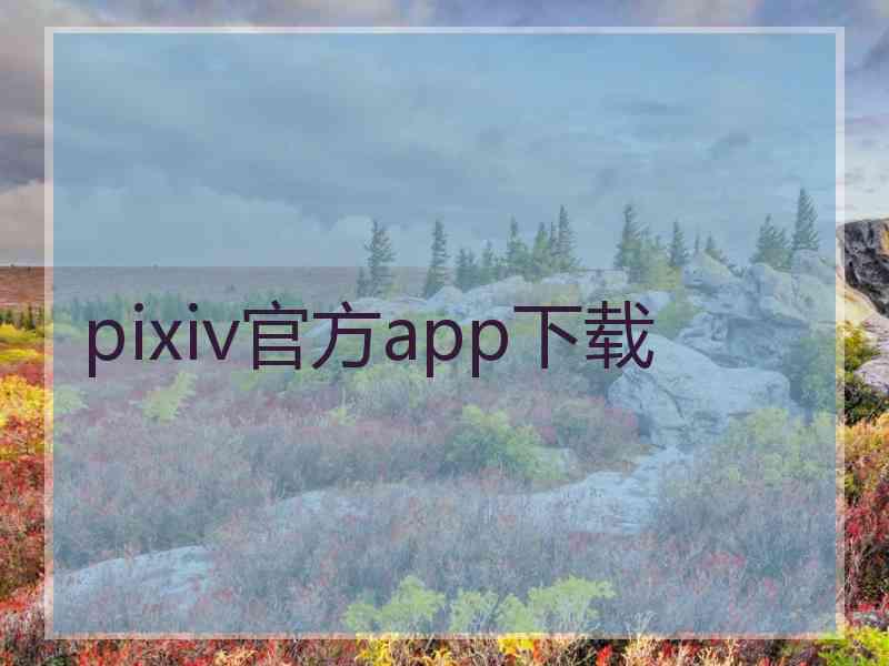 pixiv官方app下载