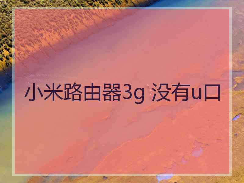 小米路由器3g 没有u口