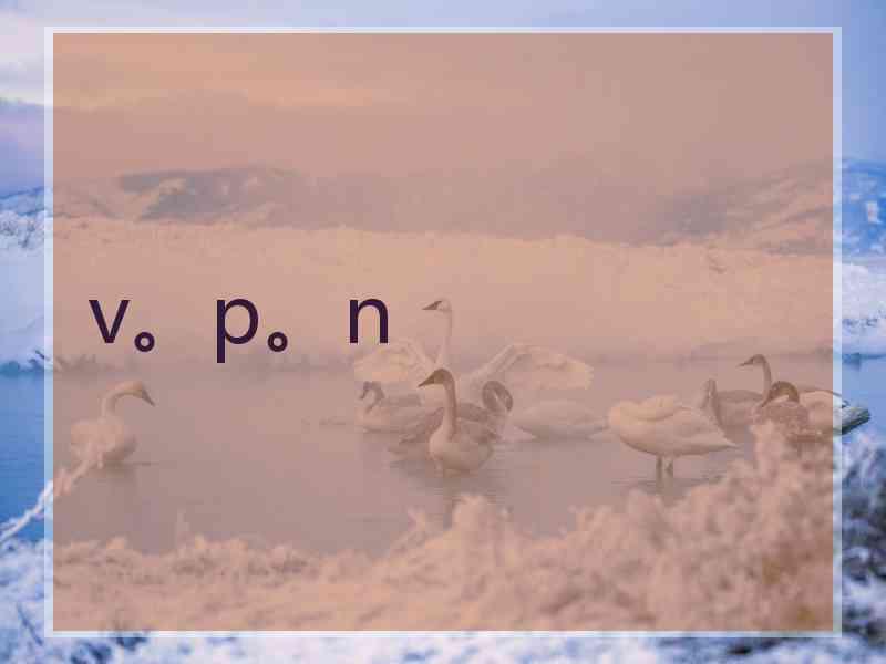 v。p。n