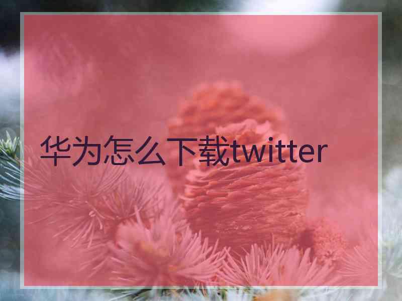 华为怎么下载twitter