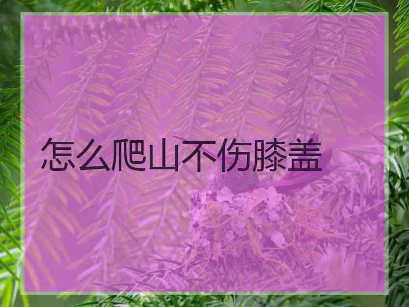 怎么爬山不伤膝盖