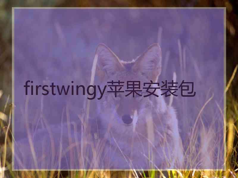 firstwingy苹果安装包