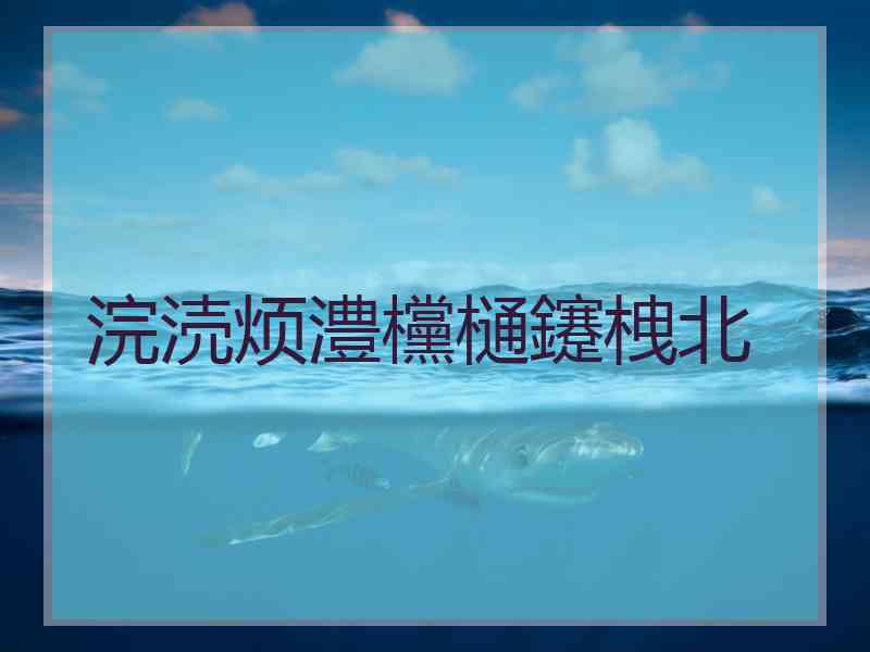 浣涜烦澧欓樋鑳栧北