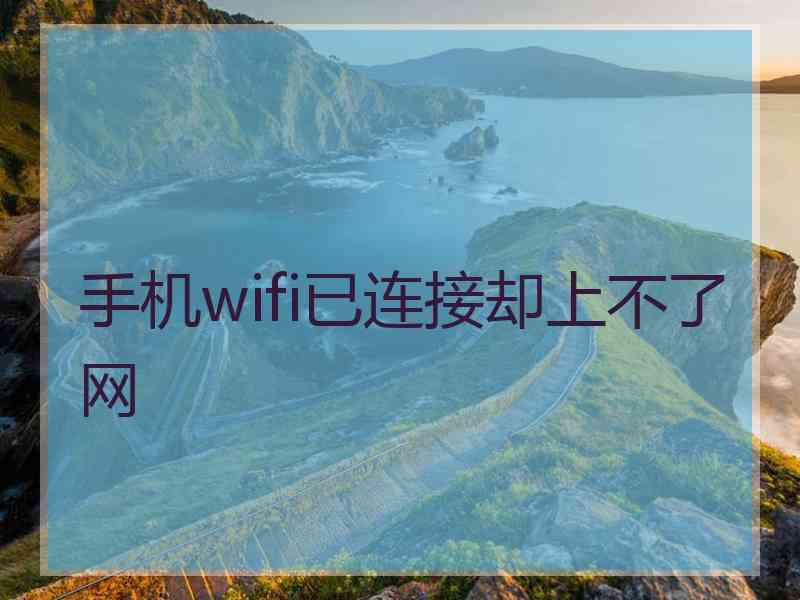 手机wifi已连接却上不了网