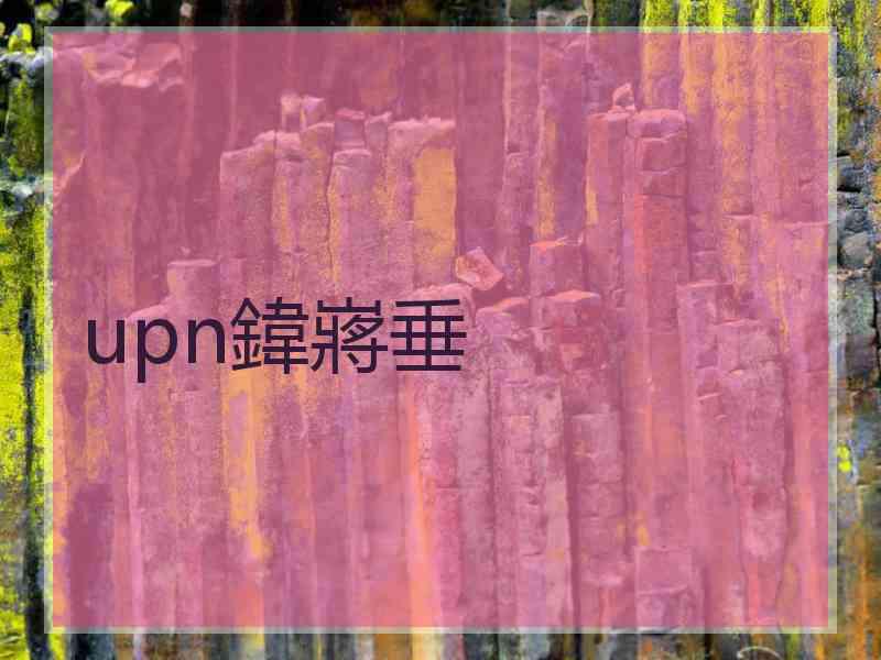 upn鍏嶈垂