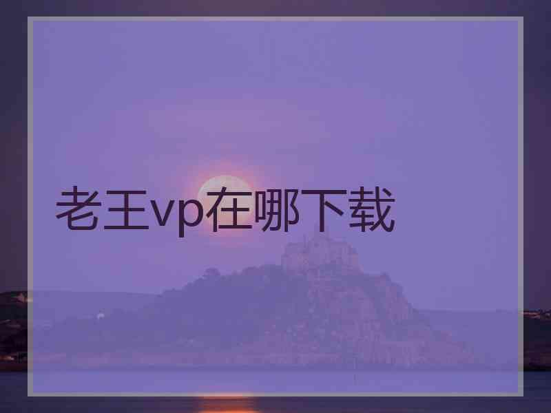 老王vp在哪下载