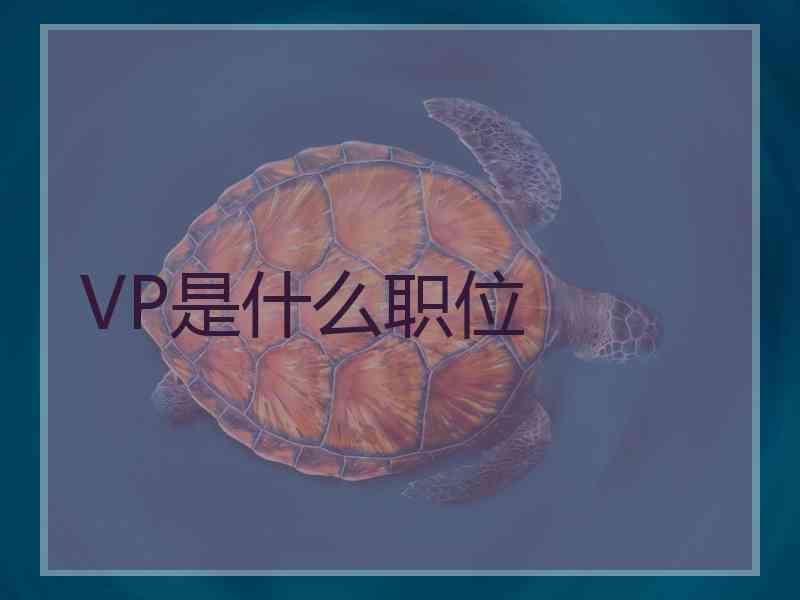 VP是什么职位