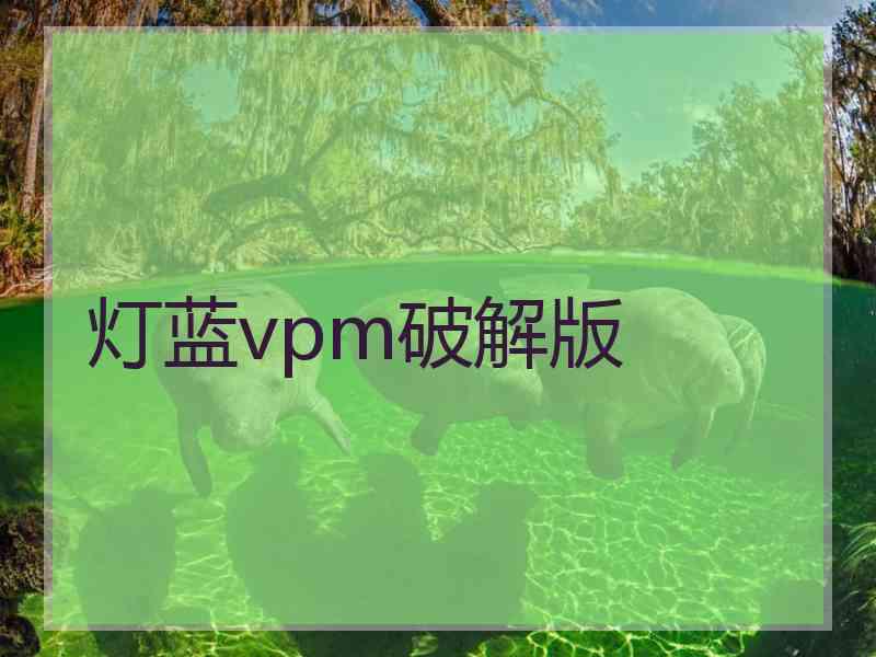 灯蓝vpm破解版